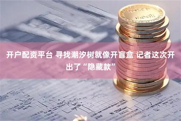 开户配资平台 寻找潮汐树就像开盲盒 记者这次开出了“隐藏款”